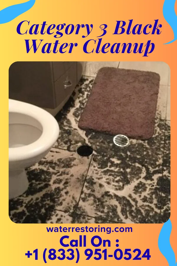 Category 3 Black Water Cleanup in Centertown, KY