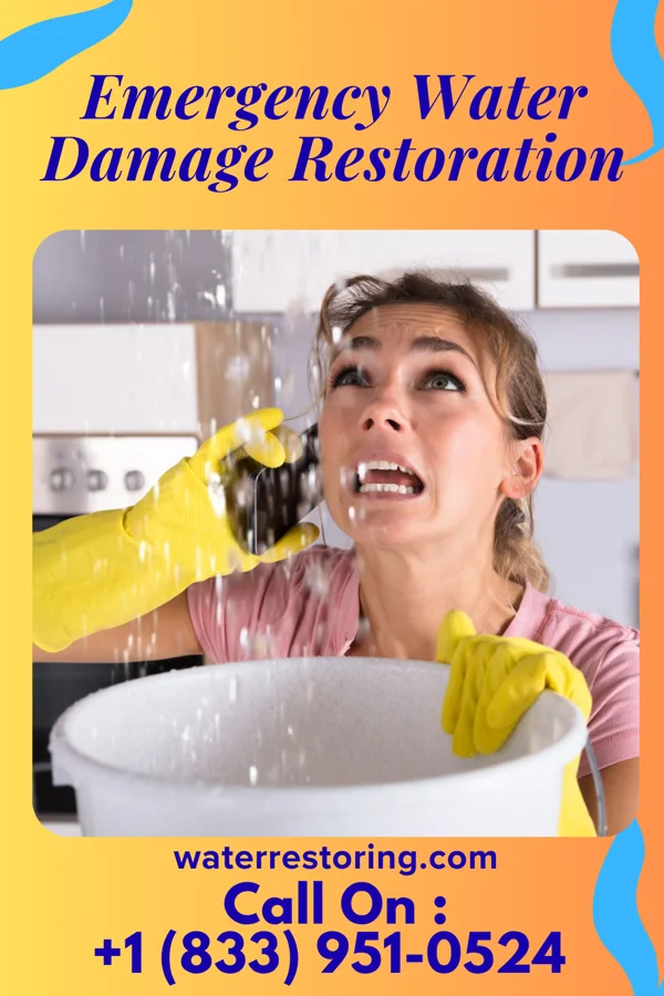 Emergency Water Damage Restoration in Centertown, KY